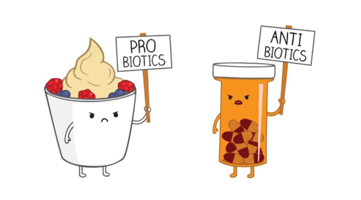 probióticos